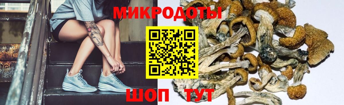 Галлюциногенные грибы MAGIC MUSHROOMS Армавир